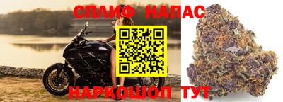 спиды Дубна
