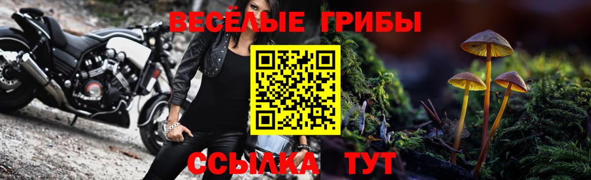 даркнет сайт  Вход с VPN  Нерюнгри  Галлюциногенные грибы Psilocybine cubensis 